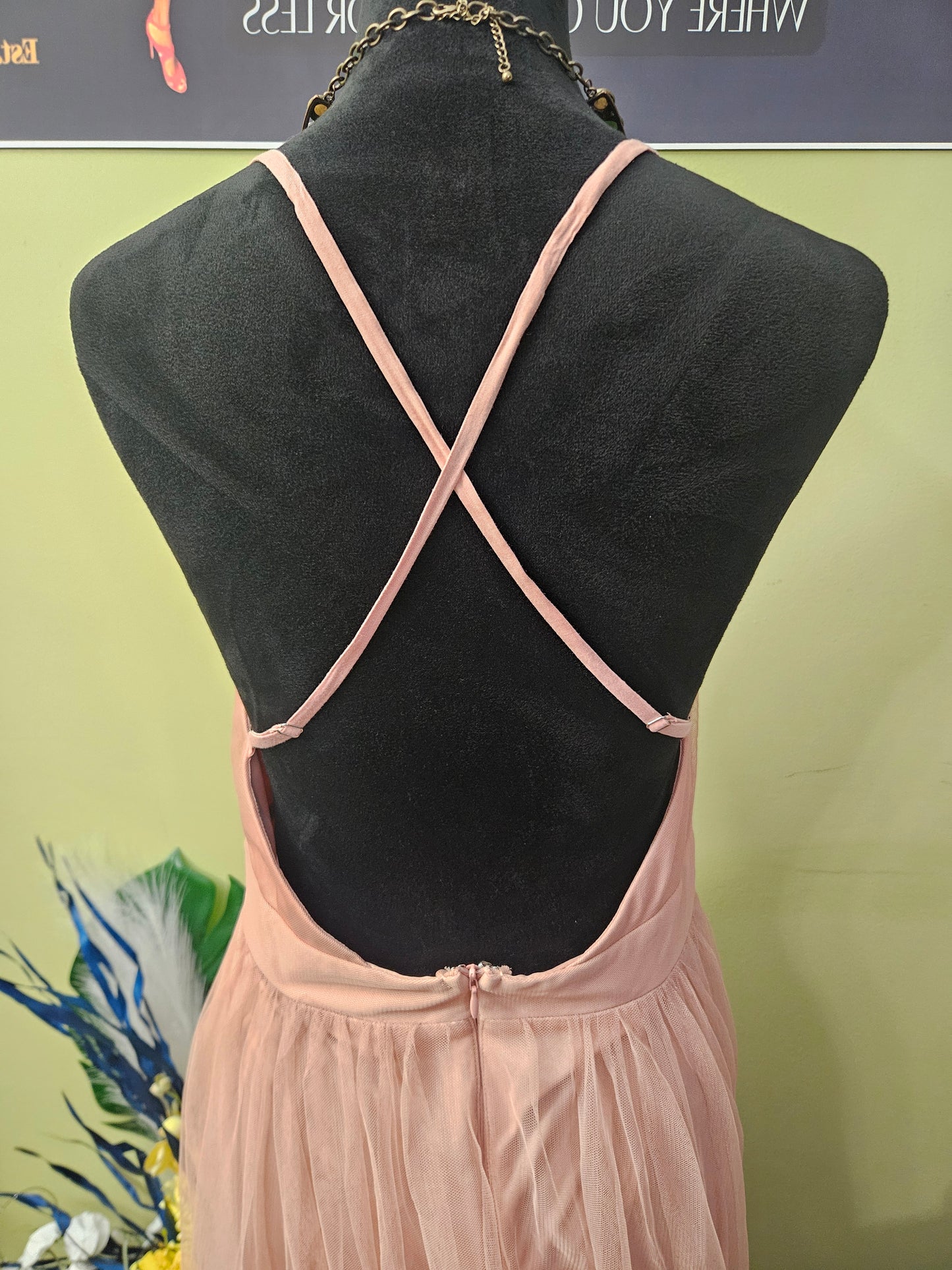 Luxxel Blush Dress With Tulle Size Medium